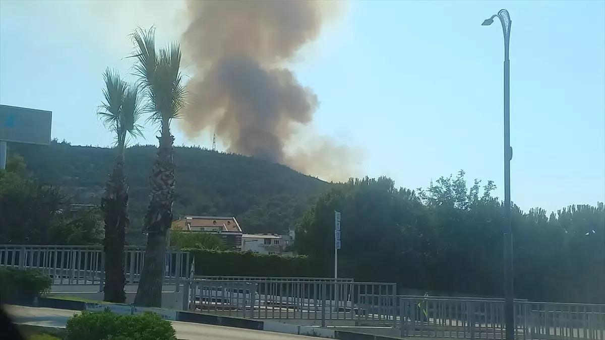 Manisa’da Orman Yangınına Hızla Müdahale Ediliyor