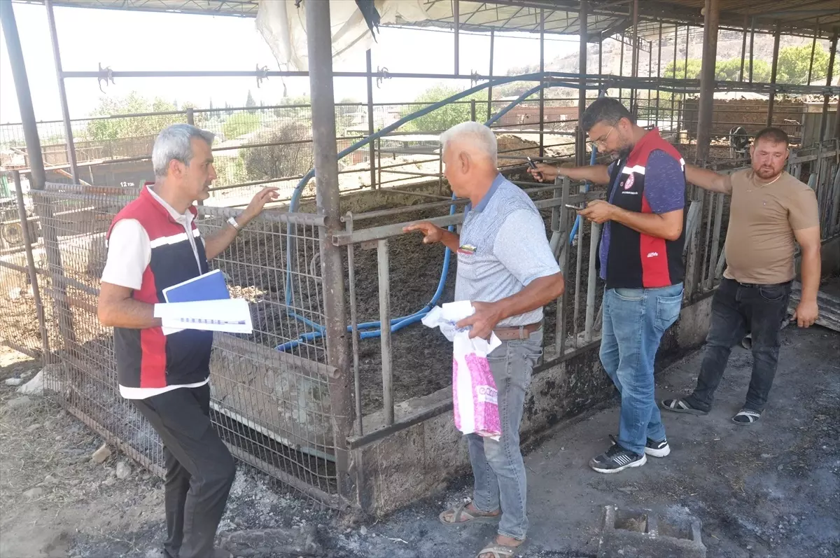 Yangın Kurtarılan Hayvanlar Sahiplerine Teslim Edildi!