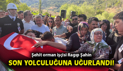 Orman Kahramanı Ragıp Şahin Şehit Oldu