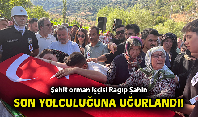 Orman Kahramanı Ragıp Şahin Şehit Oldu