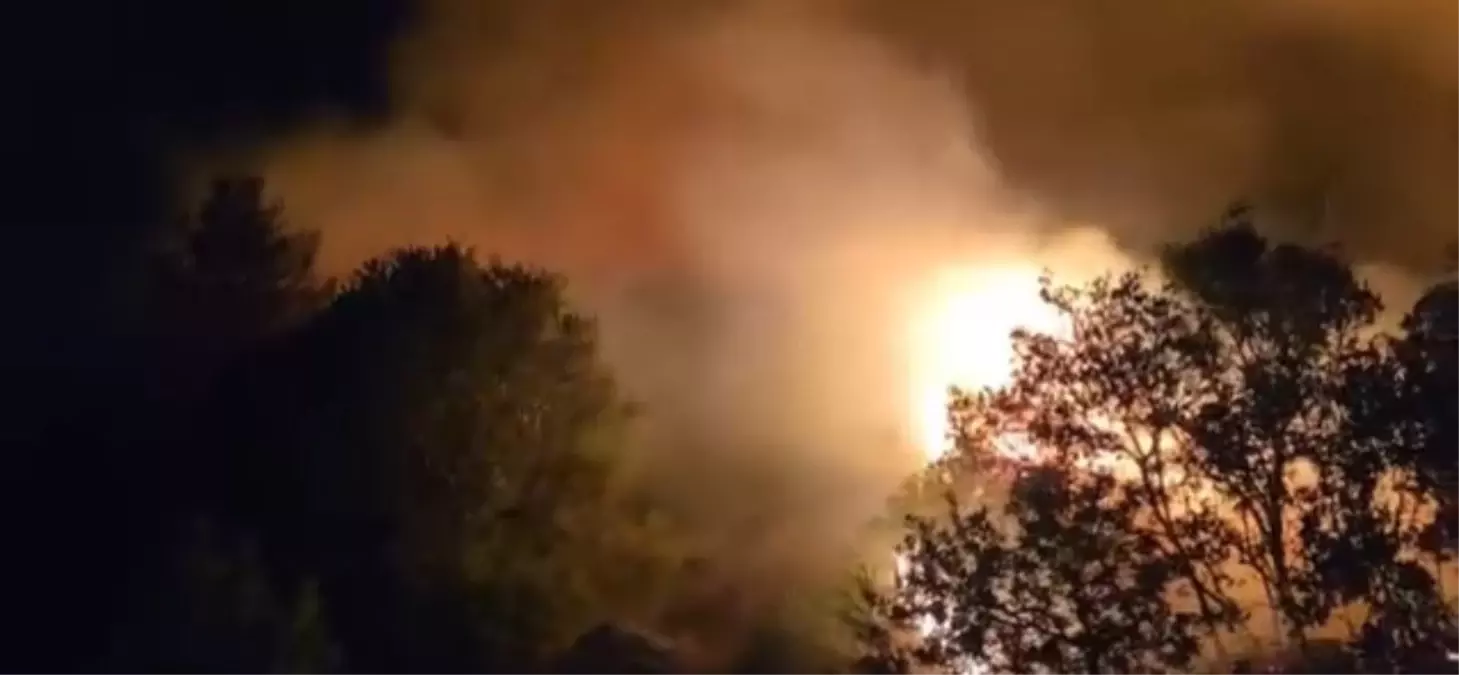 Urla’da Orman Yangını, Ekipler Mücadele Ediyor!