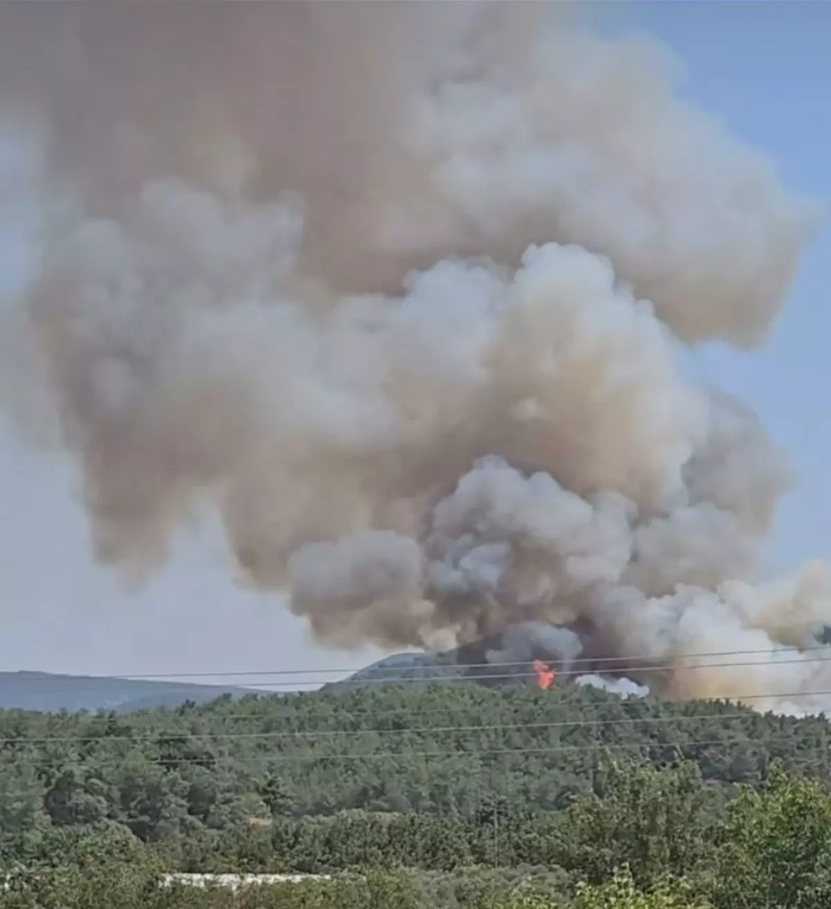 İzmir Menderes’te Orman Yangını: Müdahale Devam Ediyor!