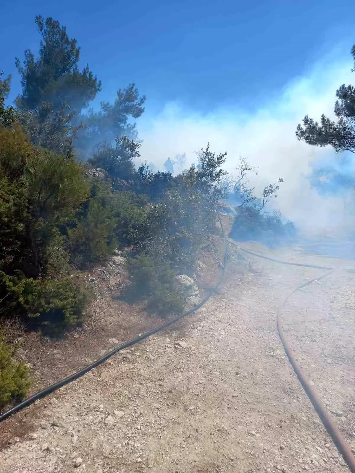 Manisa’da Orman Yangını Hızla Kontrol Altına Alındı