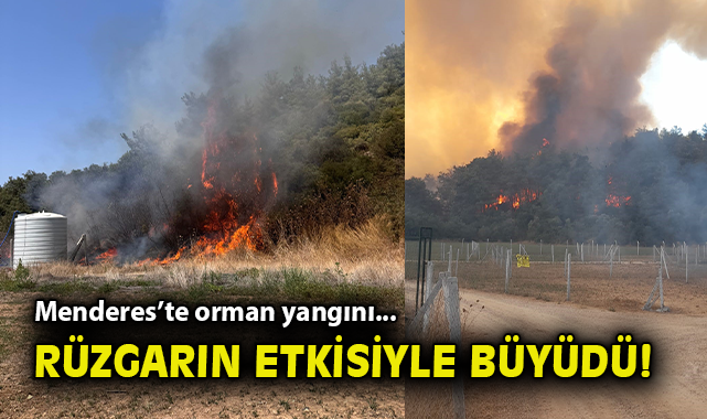 Çile Mahallesi’nde Yangın Korkutuyor!