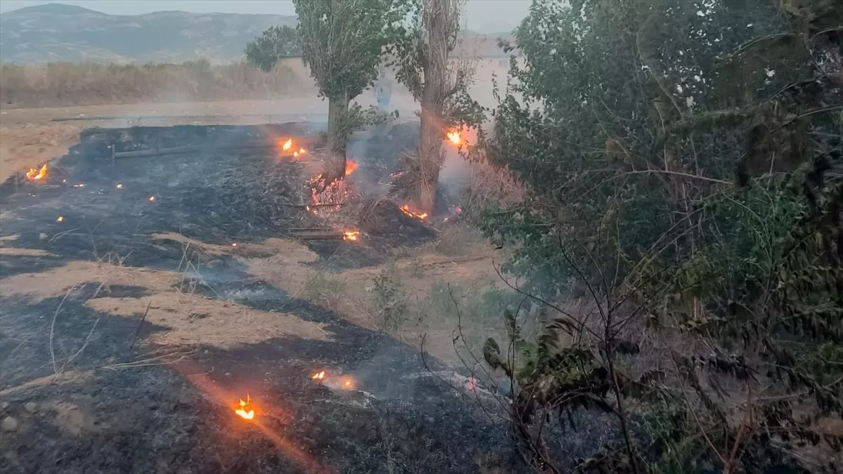 İzmir’de Otluk Alanda Yangın, İtfaiye Söndürdü!