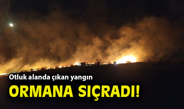 İzmir’de Kısa Sürede Büyüyen Yangın Kontrol Altında