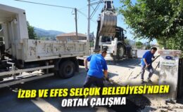 Asfalt ve Parke Tamirleri Gökçealan’da Başladı