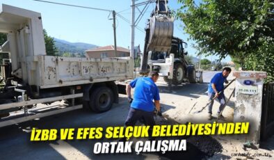 Asfalt ve Parke Tamirleri Gökçealan’da Başladı