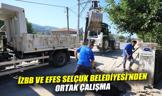 Asfalt ve Parke Tamirleri Gökçealan’da Başladı