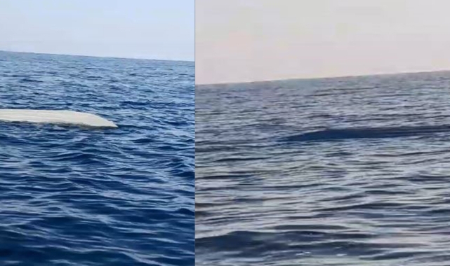 Karadeniz’de Şüpheli Deniz Aracı Korkuttu!