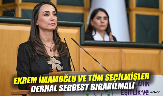 DEM Partisi: Barış İçin Somut Adımlar Atılmalı!