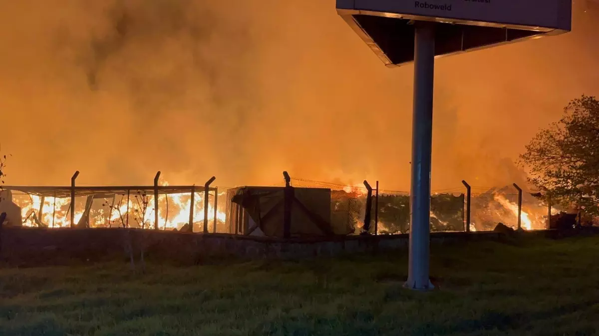 İzmir’de Çöp Depolama Alanında Korkutan Yangın!