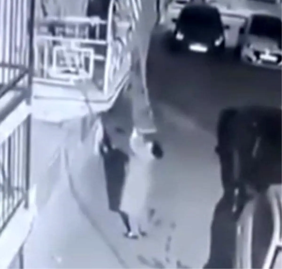 İzmir’de Halı Hırsızlığına Gece Baskını!