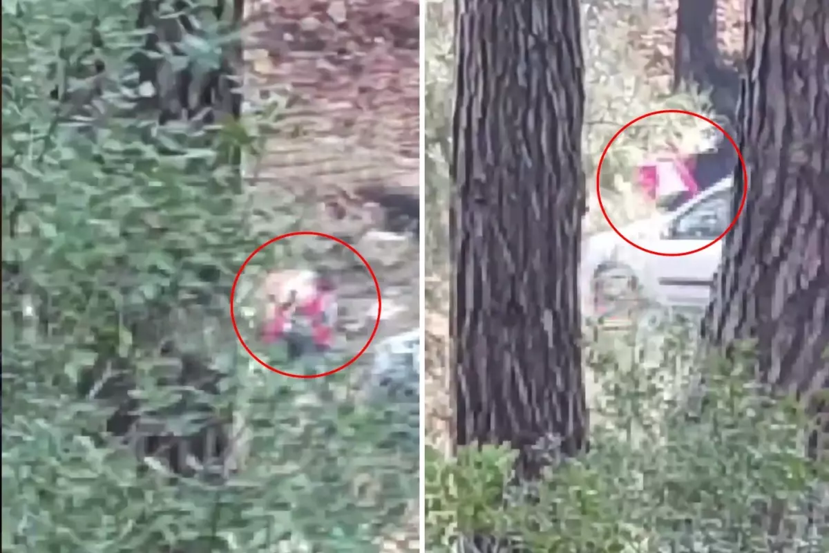 İzmir’de Yürüyüşte Şiddet Gören Kadın Çığlığı!