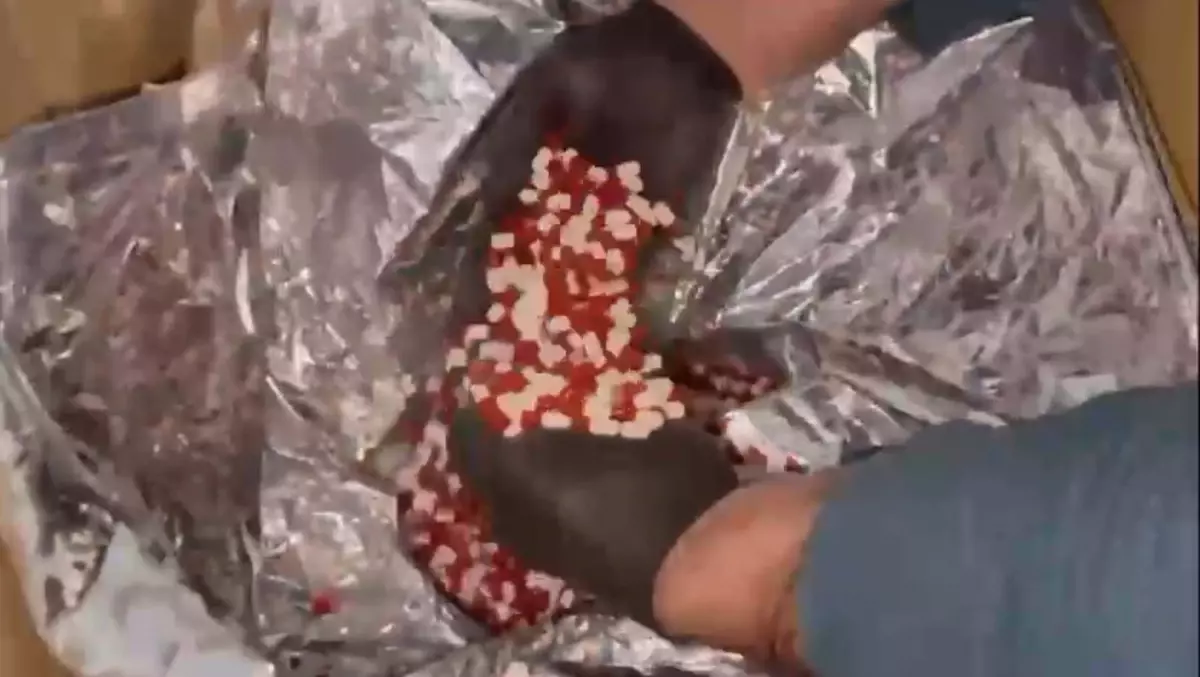 İzmir’de 2 Milyondan Fazla Sentetik Hap Ele Geçirildi