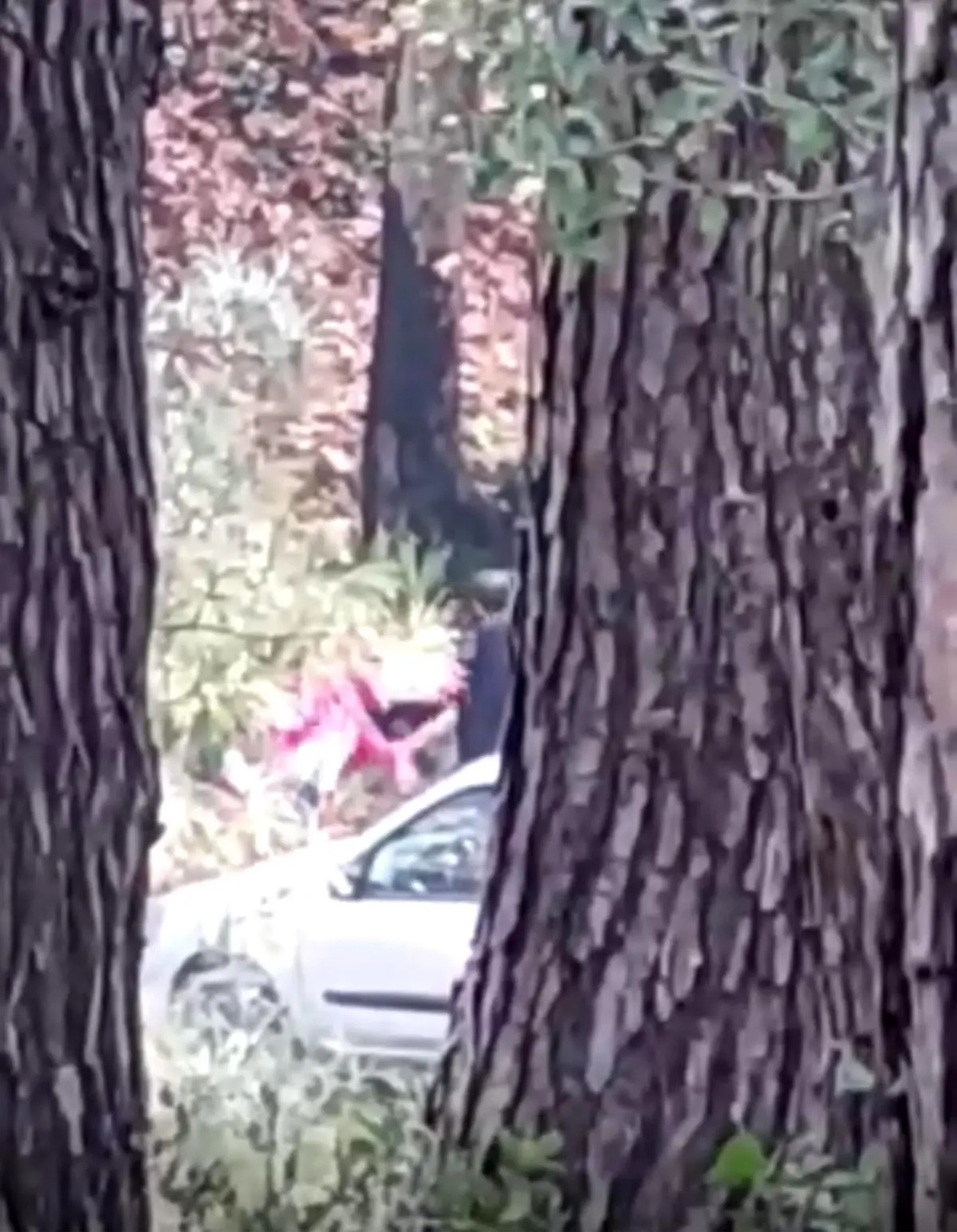 Buca’da Kadına Saldırı Anı Kamerada!