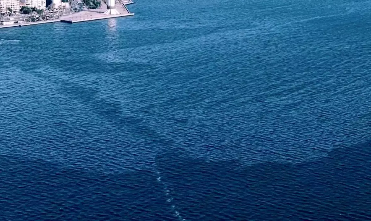 Körfez Kirliliği: Başkan Tugay’dan Sert Çağrı!