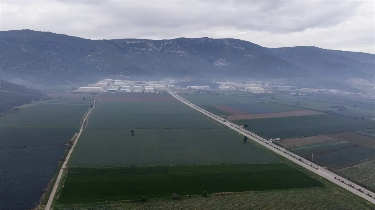 İzmir Kışlık Sebze Üretiminde Yeni Rekorlar!