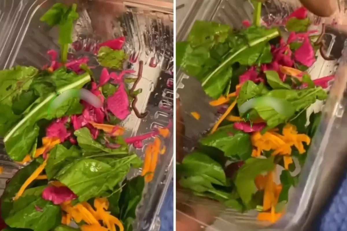 Salatada Şok! Pideciden Şaşırtan Buluntu