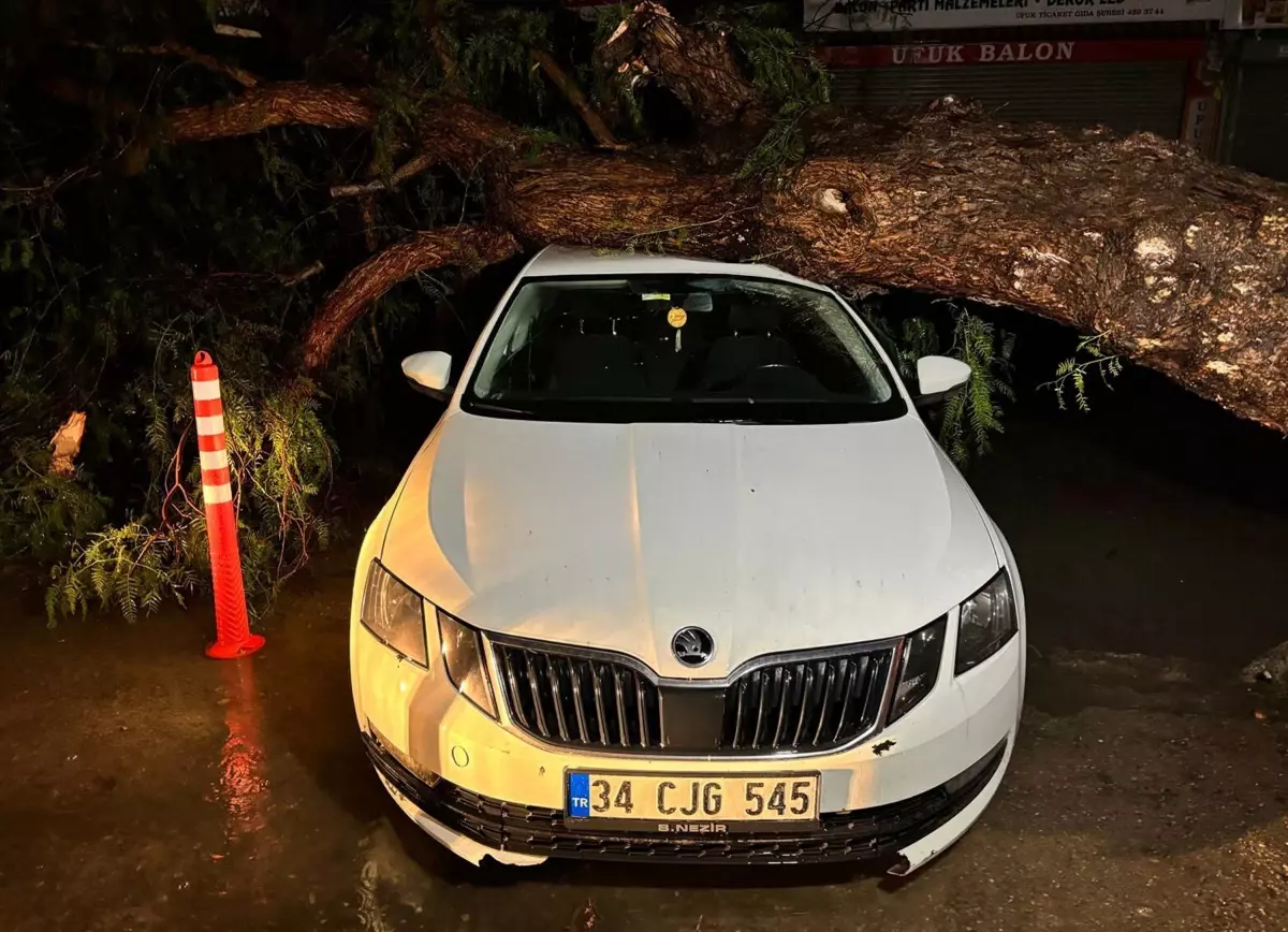İzmir’de Sağanak Yağış ve Fırtına Hayatı Olumsuz Etkiledi