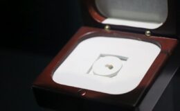 Minik Kitapla Kağıt Sanatı Müzesinde Büyüleyin!