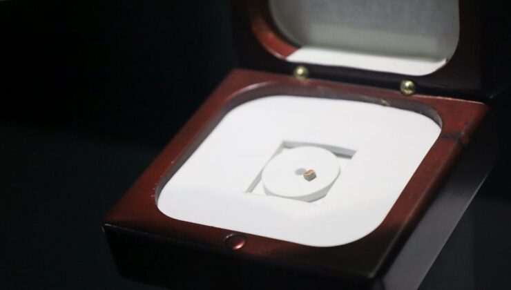 Minik Kitapla Kağıt Sanatı Müzesinde Büyüleyin!