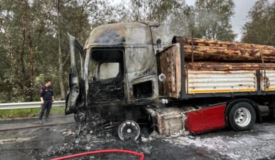 Aydın’da Seyir Halindeki Tırda Yangın Çıktı!