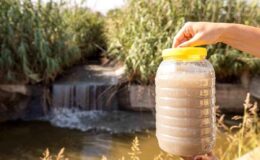 Gediz Nehri’ndeki Kirlilik Tarımı Tehdit Ediyor