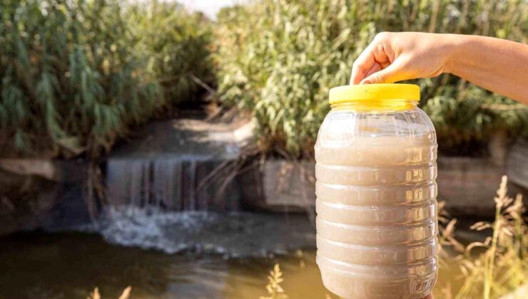 Gediz Nehri’ndeki Kirlilik Tarımı Tehdit Ediyor