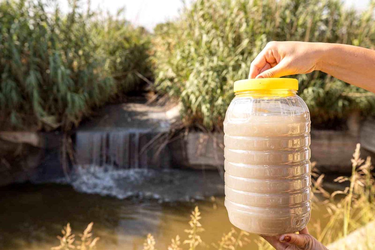 Gediz Nehri’ndeki Kirlilik Tarımı Tehdit Ediyor