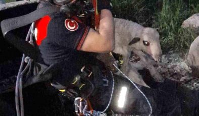 20 Metrelik Kuyuya Düşen Kuzu Kurtarıldı!