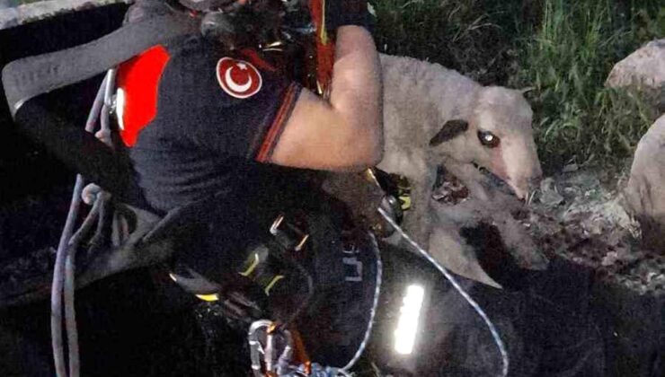 20 Metrelik Kuyuya Düşen Kuzu Kurtarıldı!