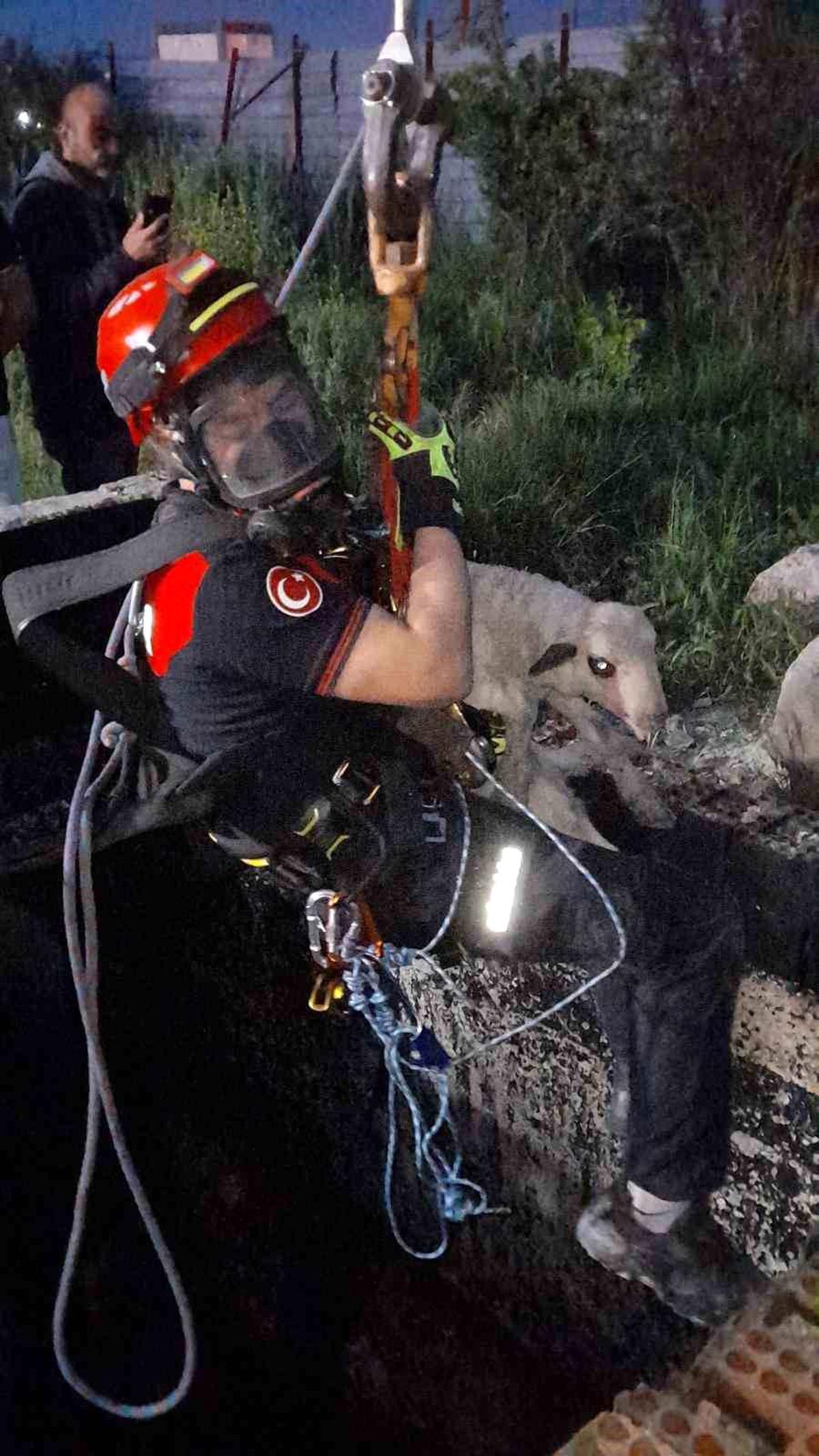 20 Metrelik Kuyuya Düşen Kuzu Kurtarıldı!