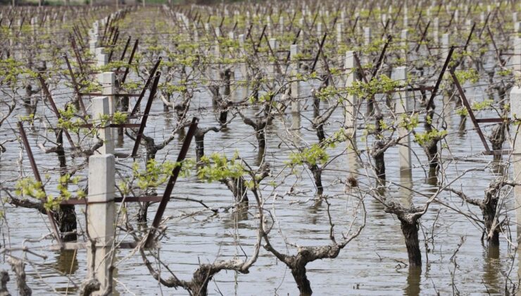 Bayraktar: Sel Felaketleri TARSİM’i Öne Çıkarıyor