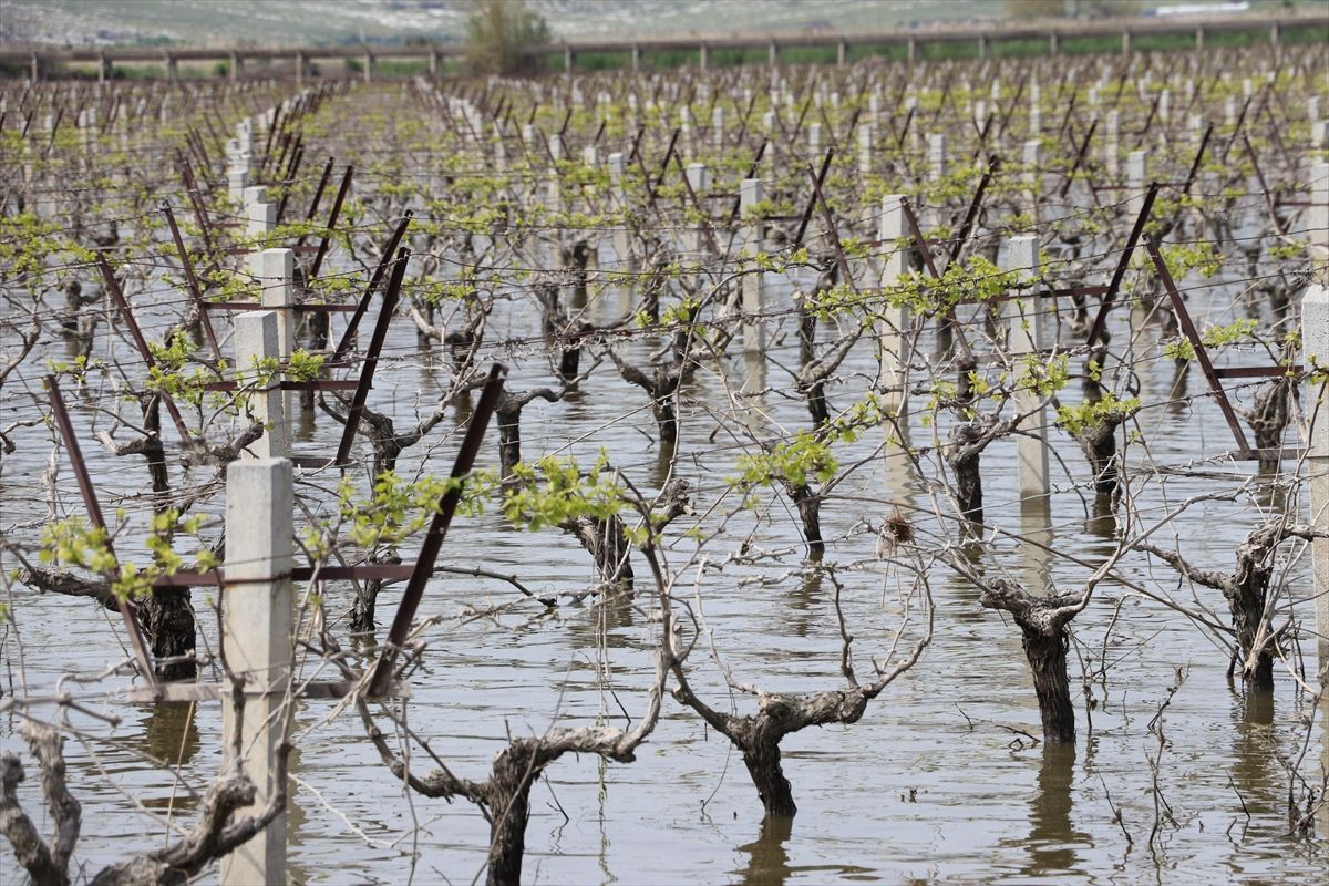 Bayraktar: Sel Felaketleri TARSİM’i Öne Çıkarıyor